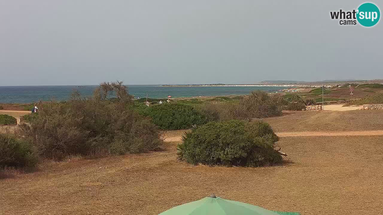Plaža Mari Ermi | Is Arutas – Oristano