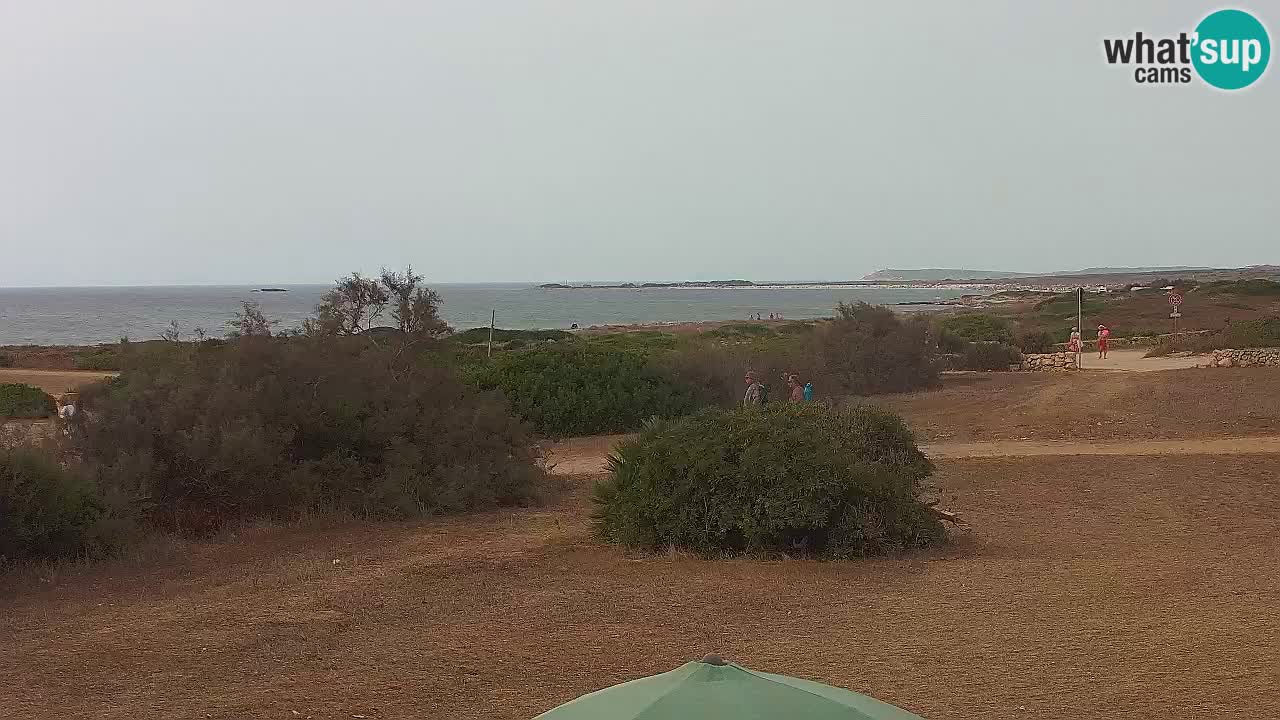 Plage Mari Ermi | Is Arutas – Oristano