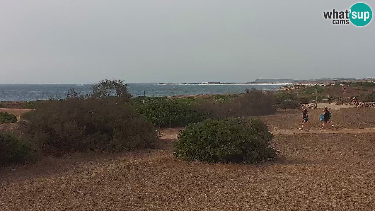 Mari Ermi Strand | Is Arutas – Oristano