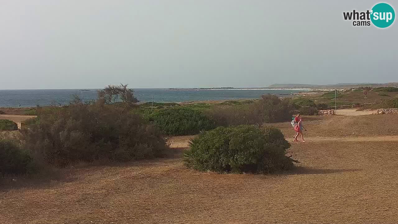 Playa Mari Ermi | Is Arutas – Oristano