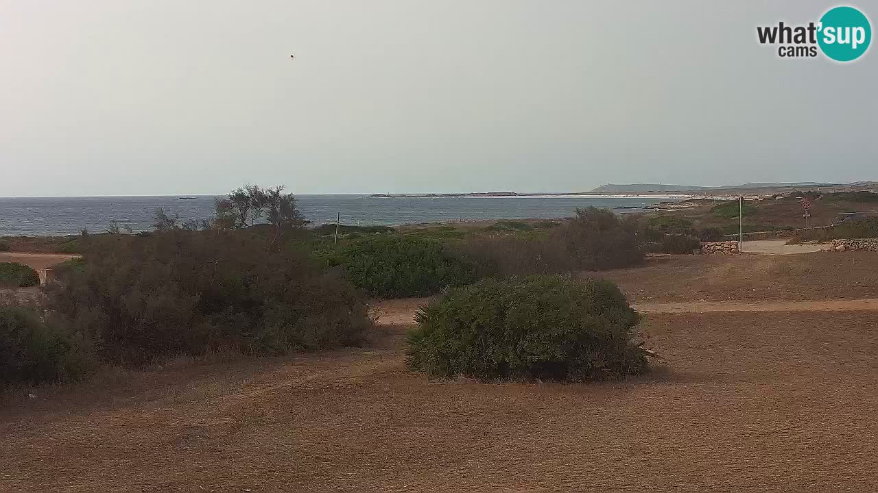 Playa Mari Ermi | Is Arutas – Oristano