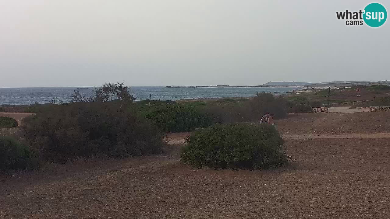 Plaža Mari Ermi | Is Arutas – Oristano