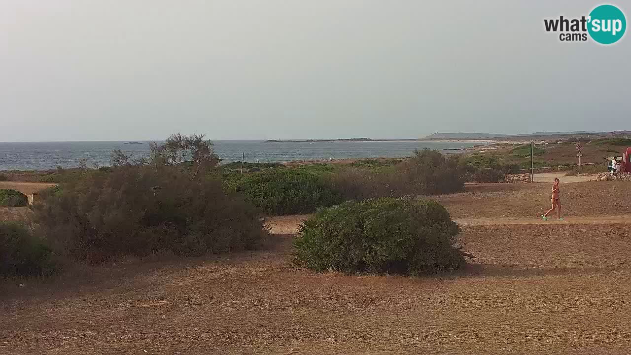 Playa Mari Ermi | Is Arutas – Oristano