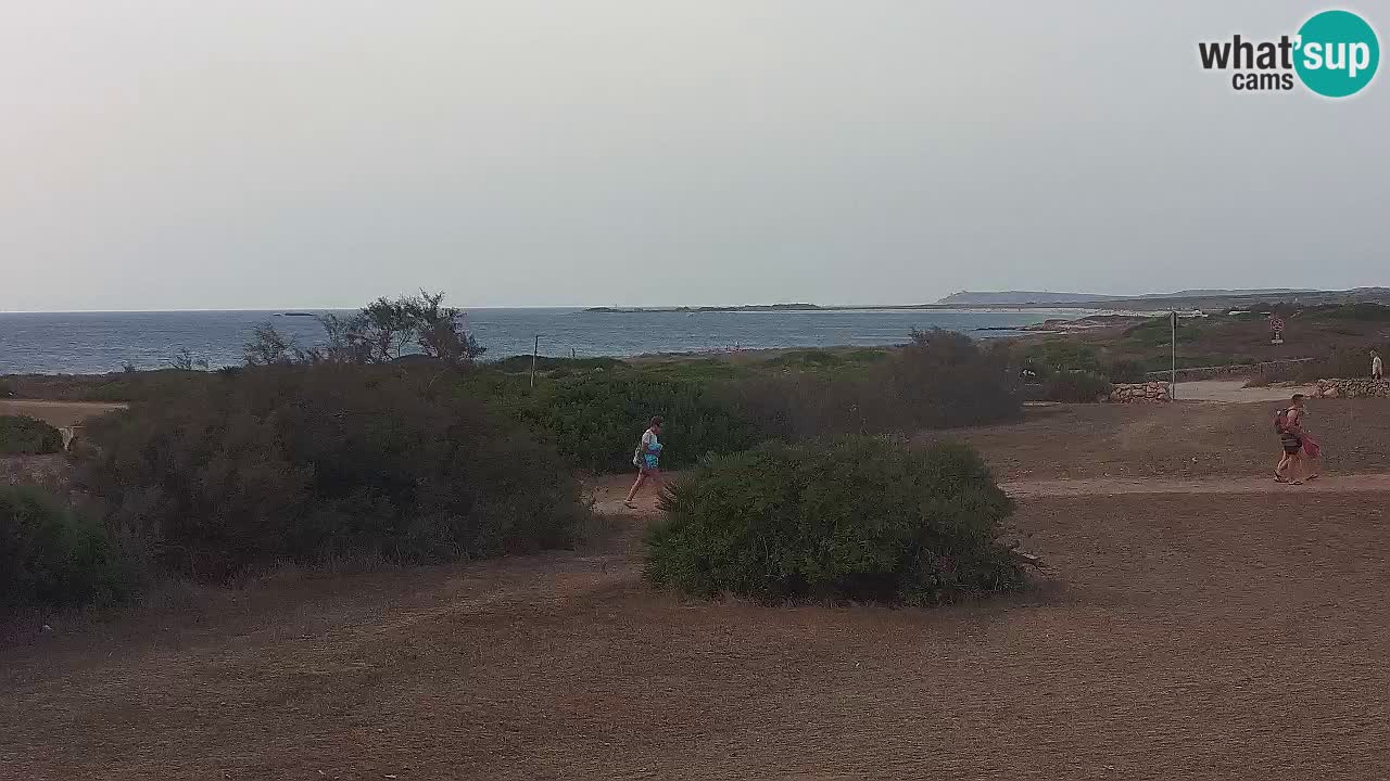 Spiaggia Mari Ermi | Is Arutas – Oristano