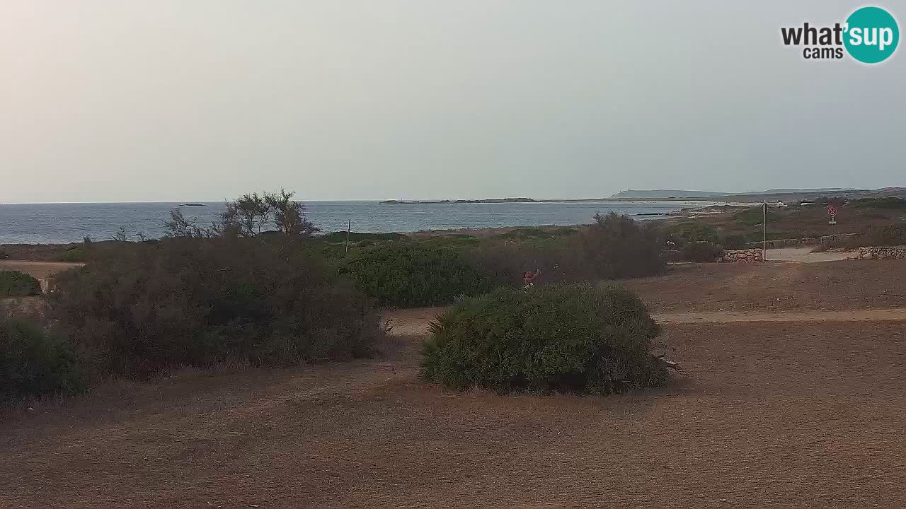 Playa Mari Ermi | Is Arutas – Oristano
