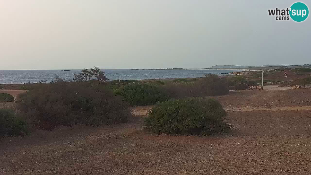 Playa Mari Ermi | Is Arutas – Oristano