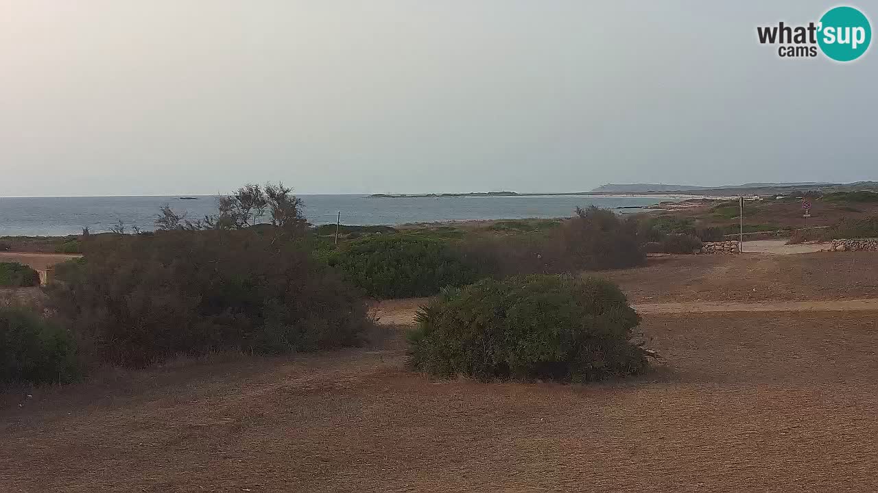 Mari Ermi Strand | Is Arutas – Oristano