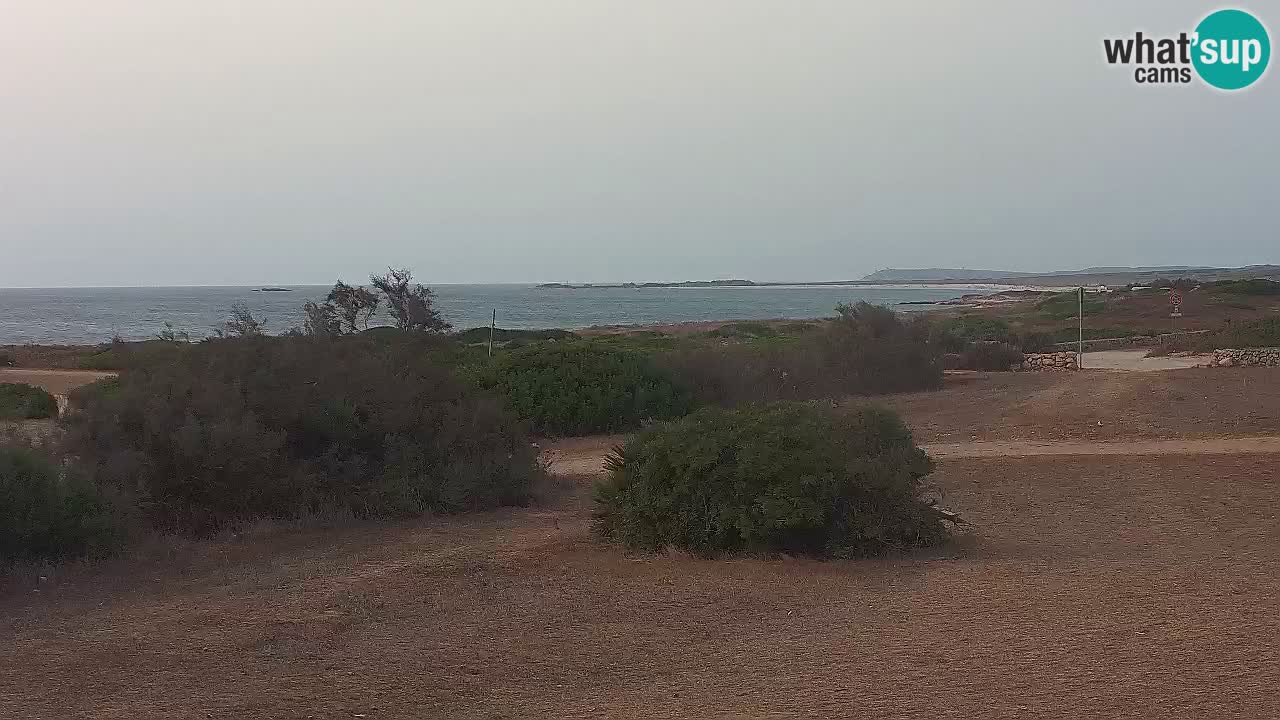 Playa Mari Ermi | Is Arutas – Oristano