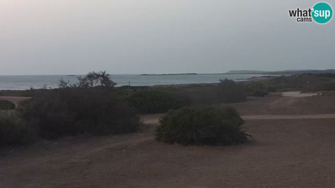 Playa Mari Ermi | Is Arutas – Oristano