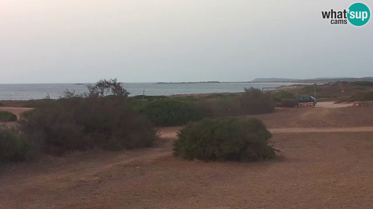 Playa Mari Ermi | Is Arutas – Oristano