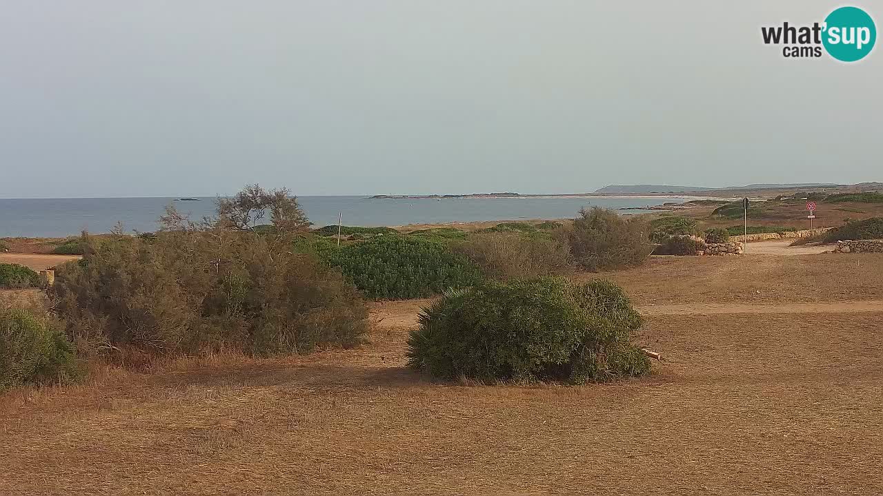 Plaža Mari Ermi | Is Arutas – Oristano
