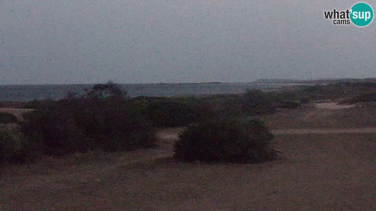 Mari Ermi Strand | Is Arutas – Oristano
