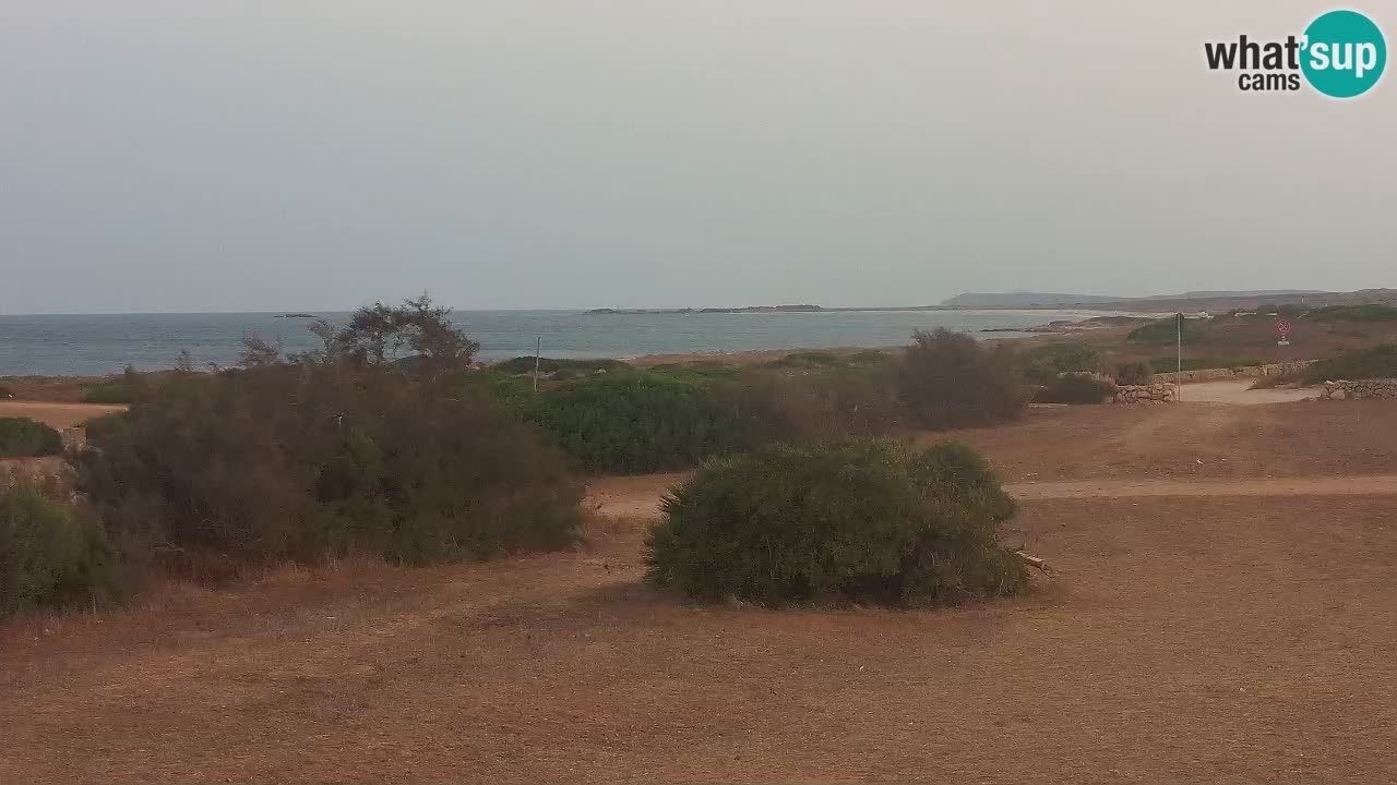 Playa Mari Ermi | Is Arutas – Oristano