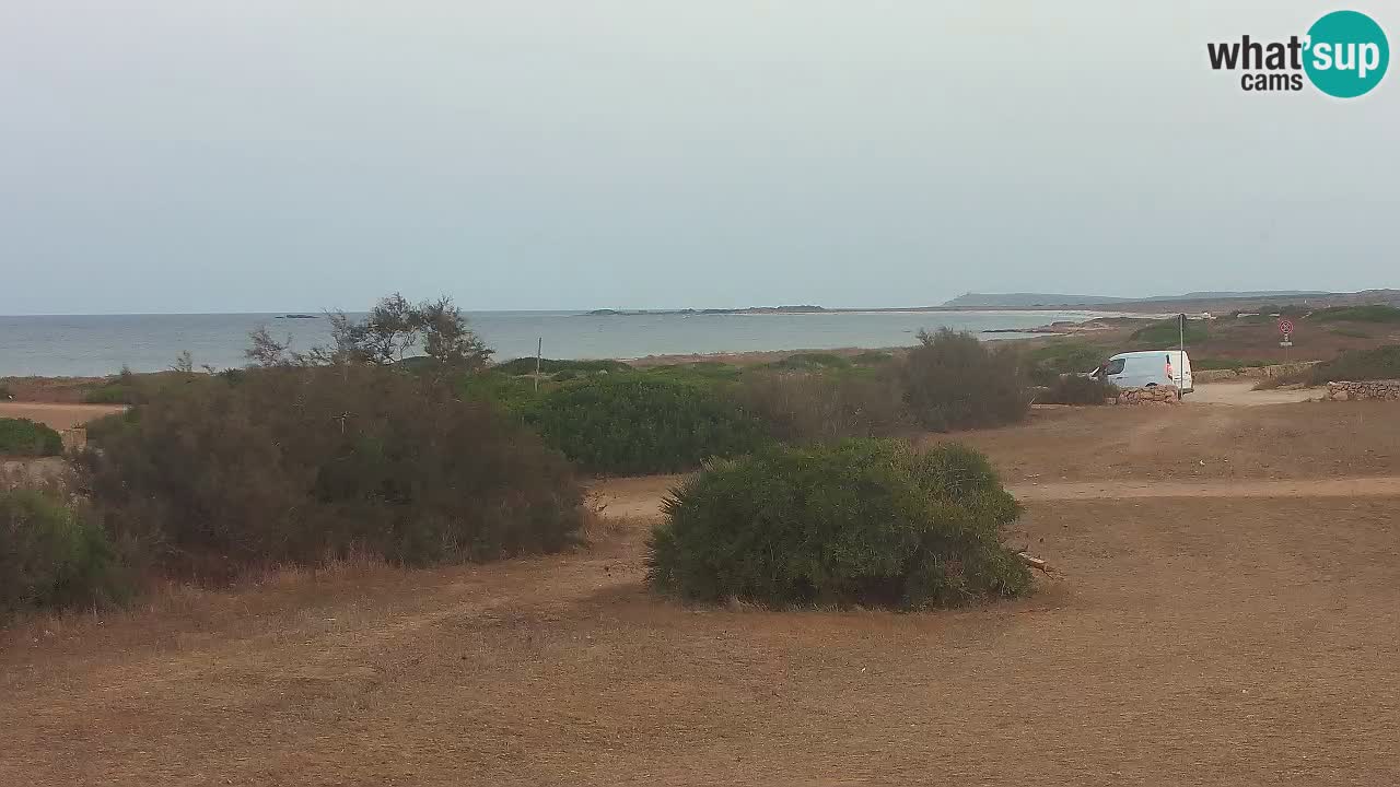 Playa Mari Ermi | Is Arutas – Oristano