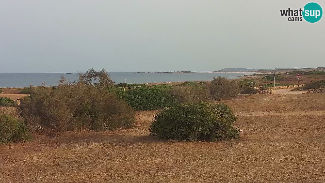 Playa Mari Ermi | Is Arutas – Oristano