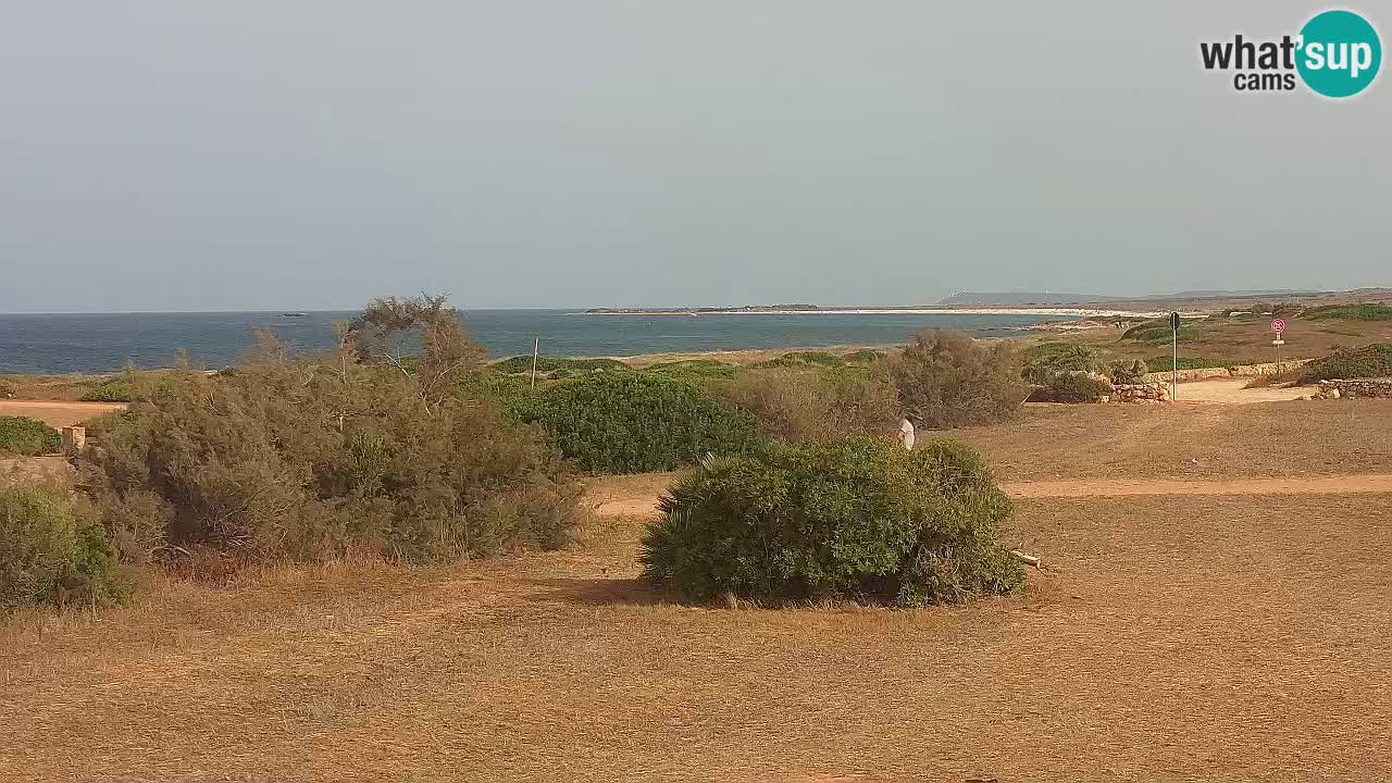 Plaža Mari Ermi | Is Arutas – Oristano