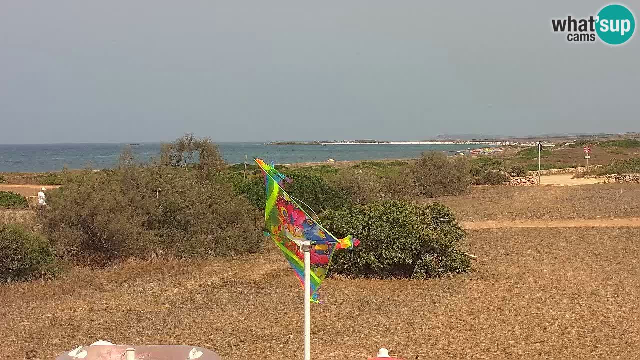 Playa Mari Ermi | Is Arutas – Oristano