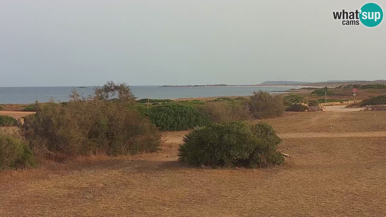 Mari Ermi Strand | Is Arutas – Oristano