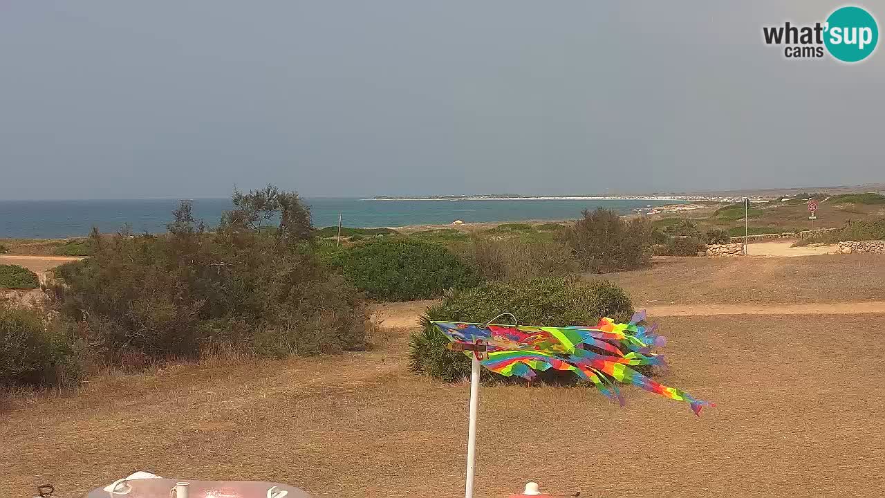 Mari Ermi Strand | Is Arutas – Oristano