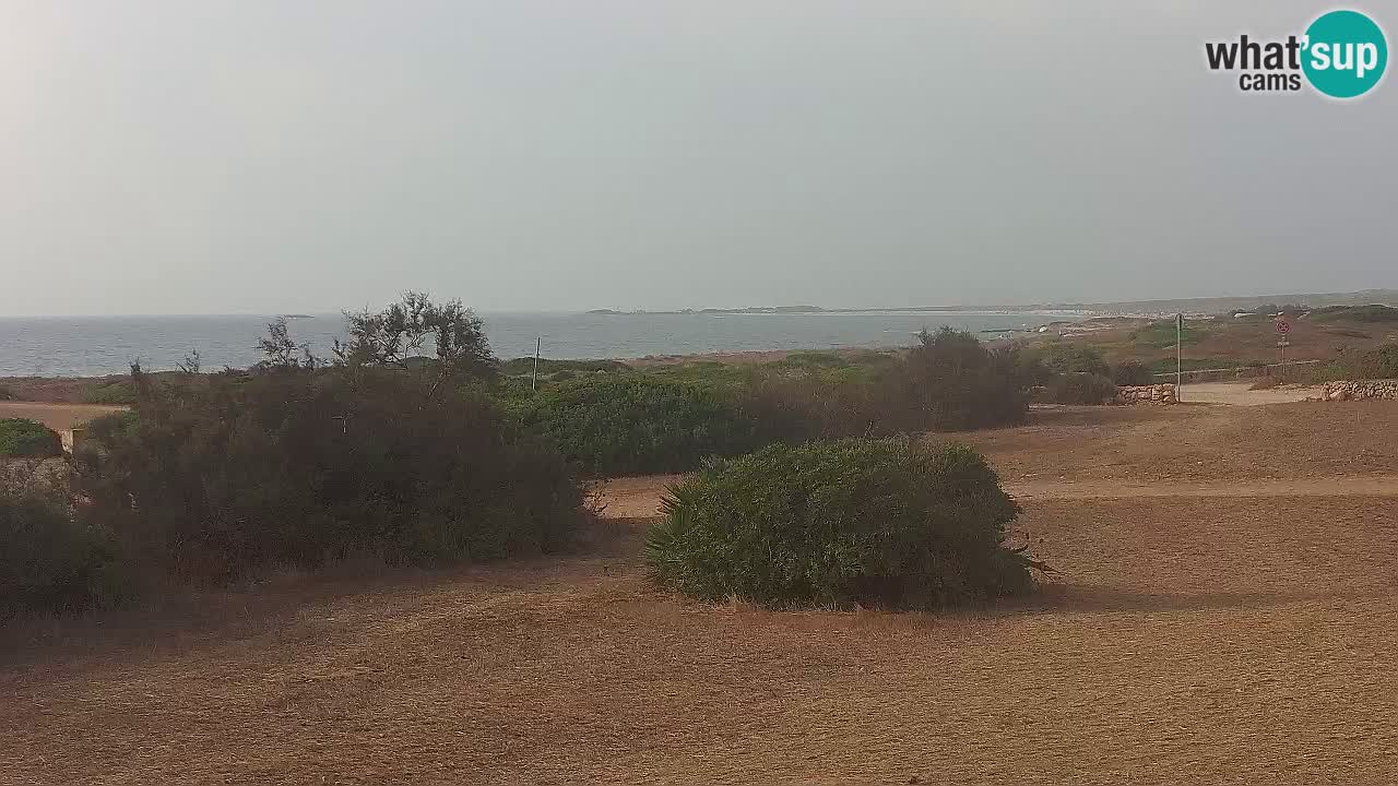 Plage Mari Ermi | Is Arutas – Oristano