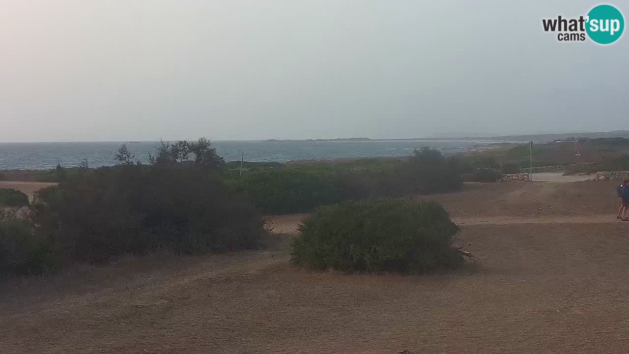 Plaža Mari Ermi | Is Arutas – Oristano