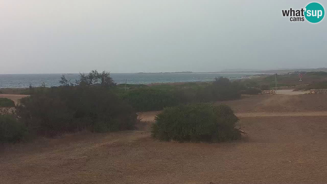 Plage Mari Ermi | Is Arutas – Oristano