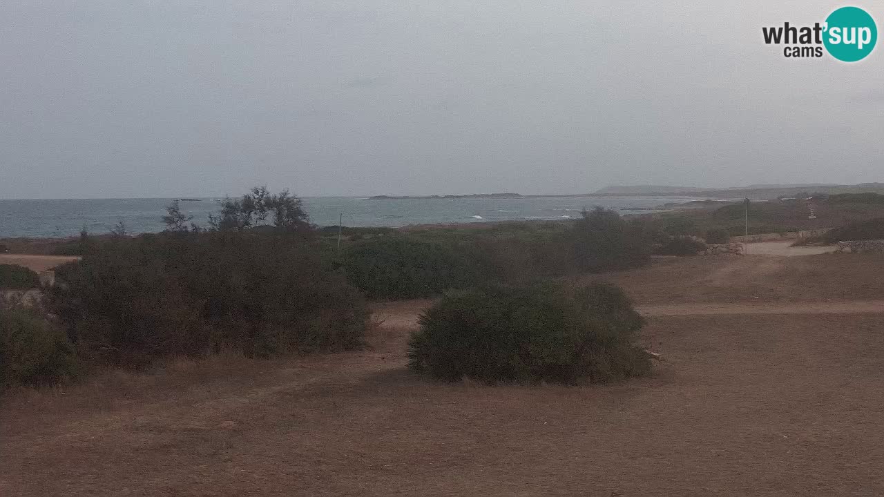 Plaža Mari Ermi | Is Arutas – Oristano