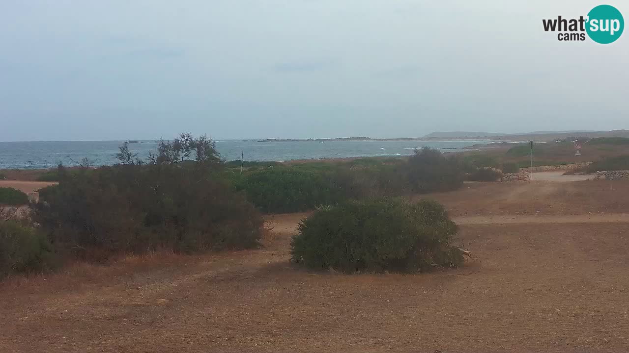 Plage Mari Ermi | Is Arutas – Oristano