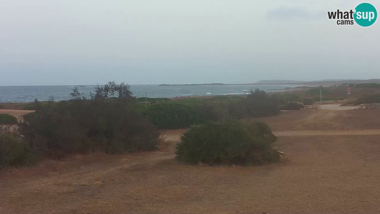 Playa Mari Ermi | Is Arutas – Oristano