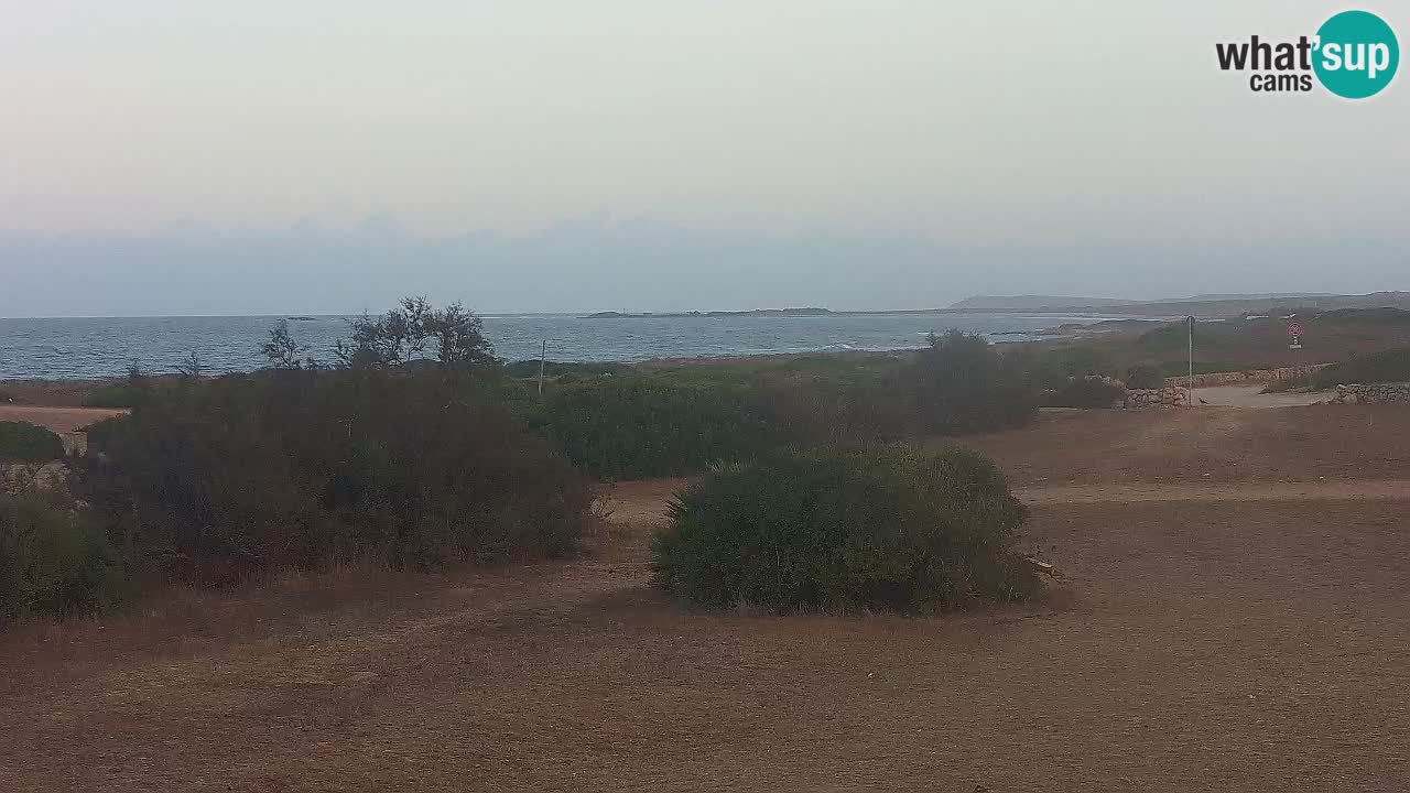 Plage Mari Ermi | Is Arutas – Oristano