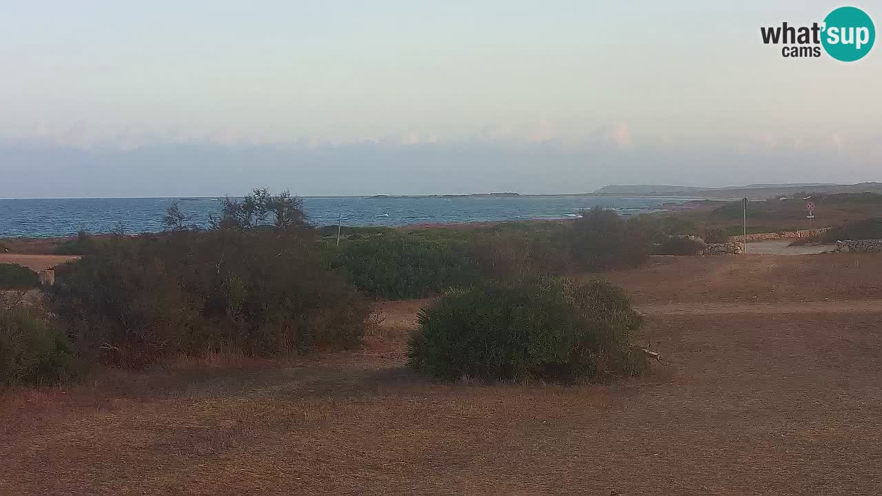 Mari Ermi Strand | Is Arutas – Oristano