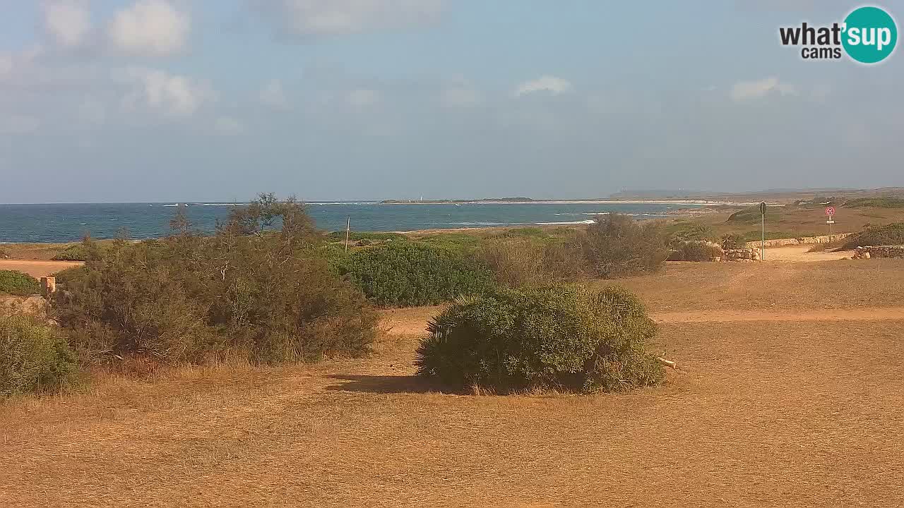 Mari Ermi Strand | Is Arutas – Oristano