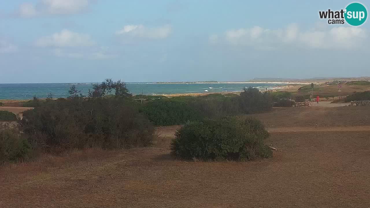 Mari Ermi Strand | Is Arutas – Oristano