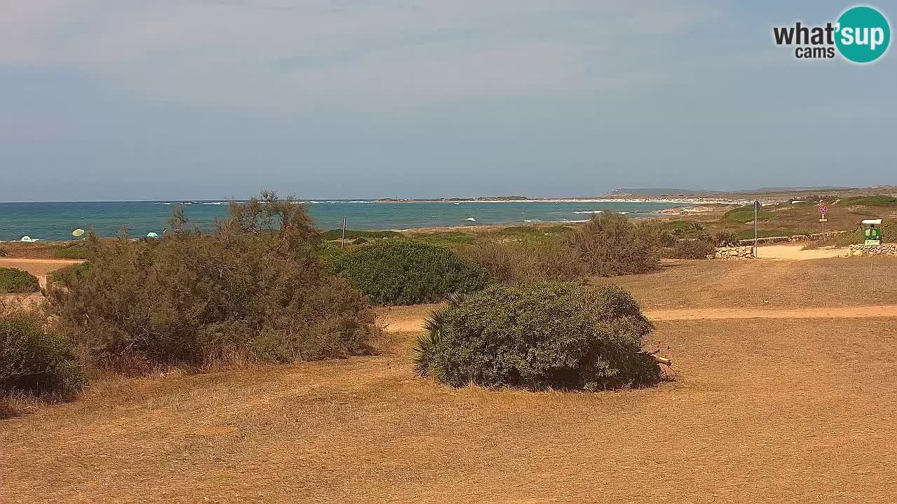 Playa Mari Ermi | Is Arutas – Oristano
