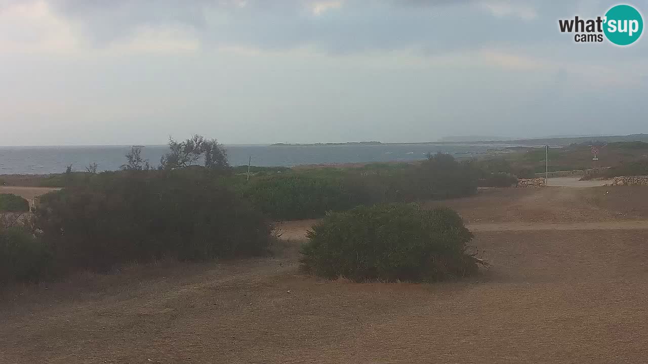 Plaža Mari Ermi | Is Arutas – Oristano