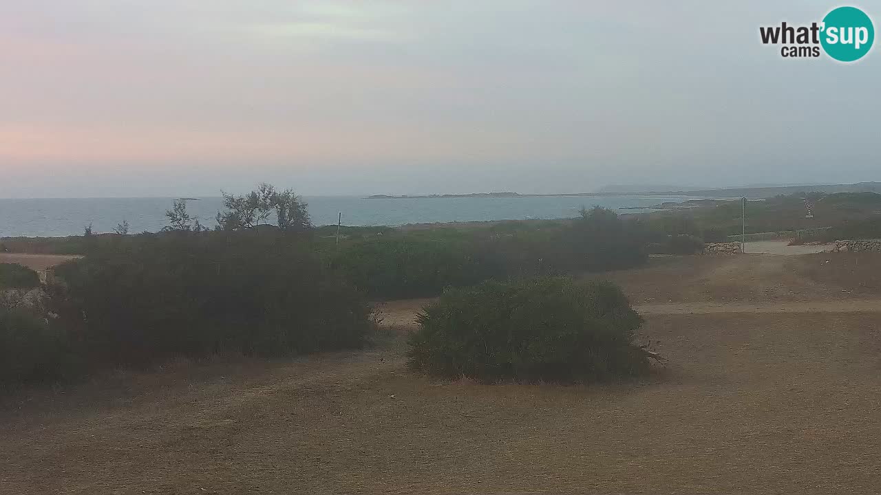 Mari Ermi Strand | Is Arutas – Oristano