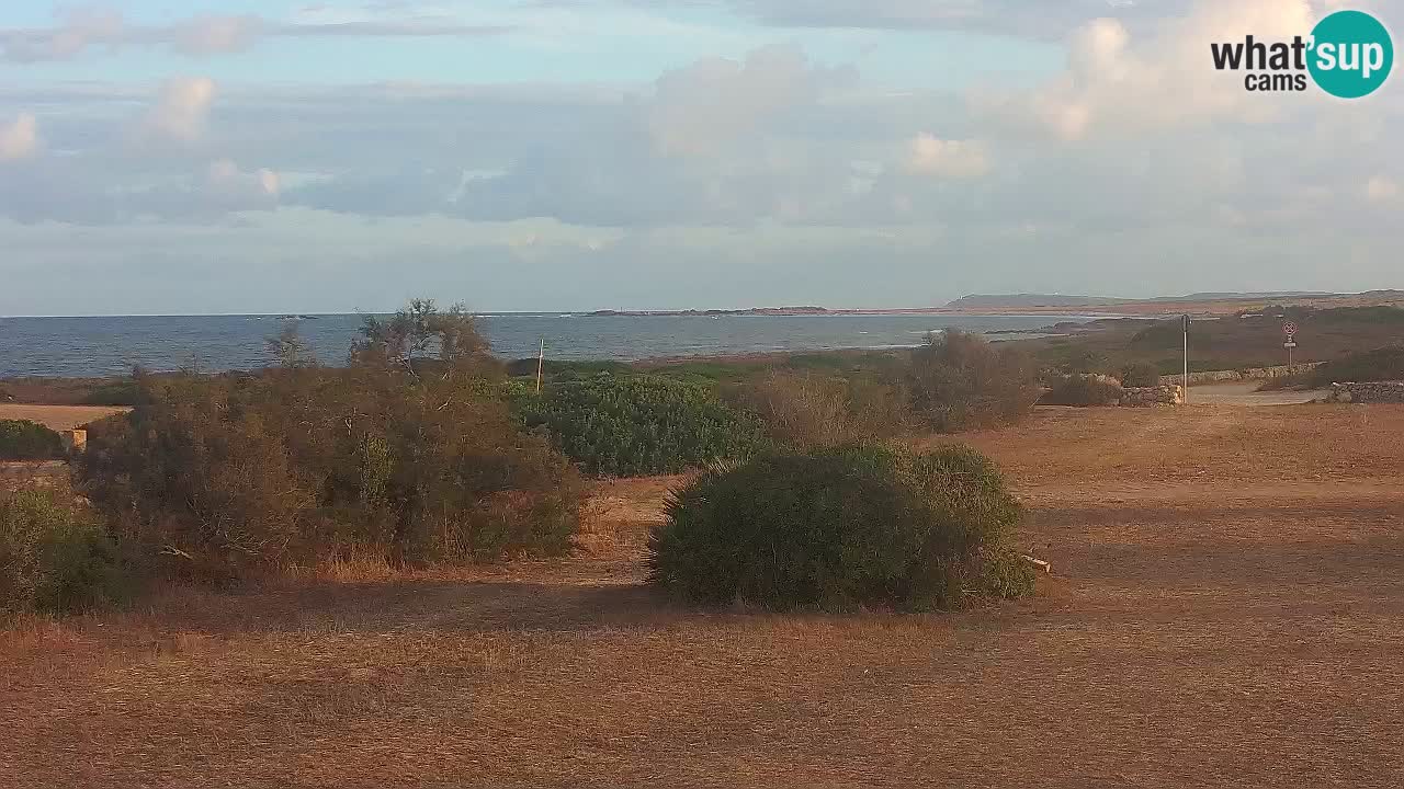 Mari Ermi Strand | Is Arutas – Oristano