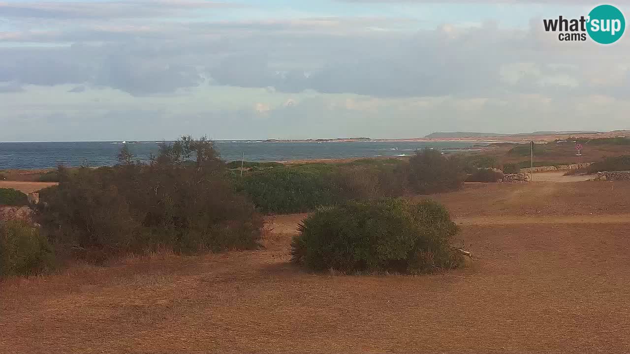 Mari Ermi Strand | Is Arutas – Oristano