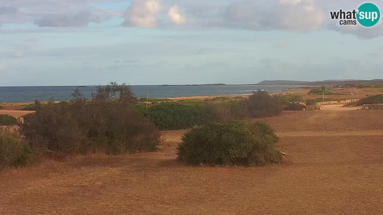 Playa Mari Ermi | Is Arutas – Oristano