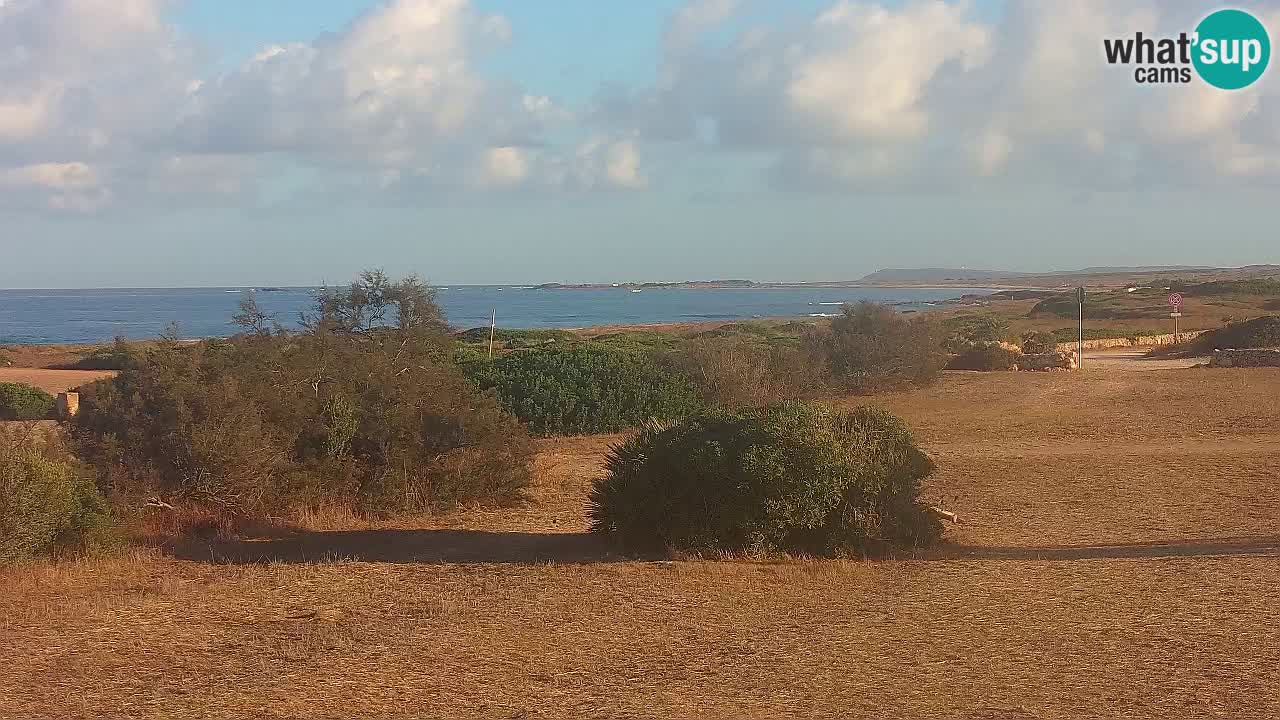 Mari Ermi beach | Is Arutas – Oristano