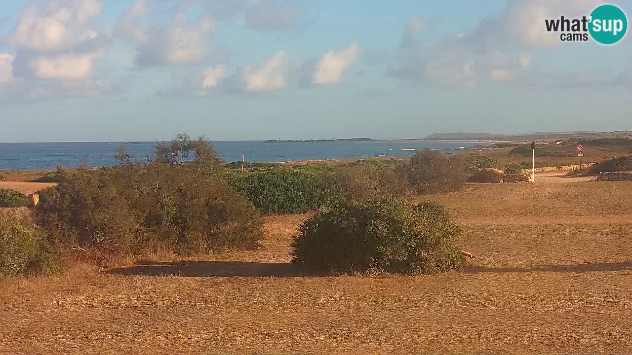 Plaža Mari Ermi | Is Arutas – Oristano