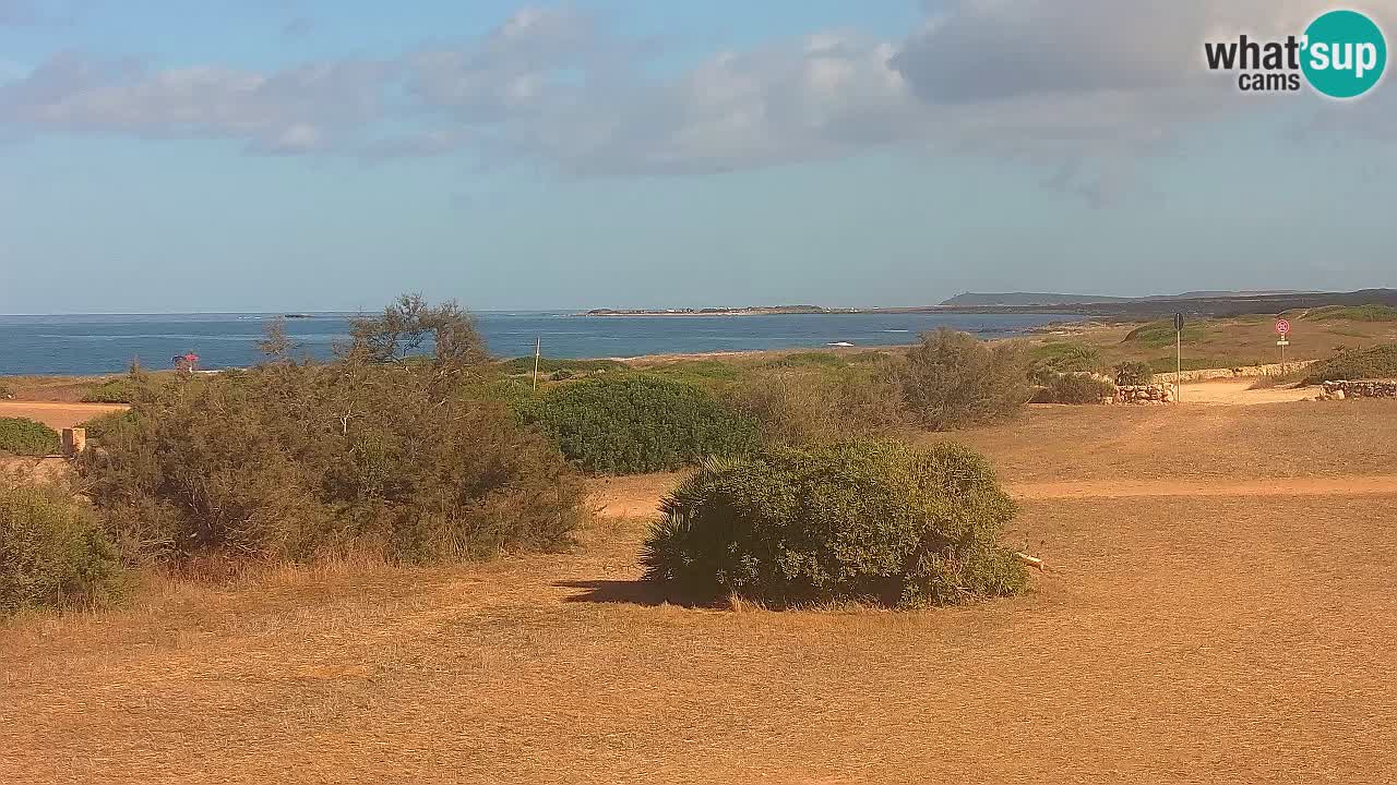 Plaža Mari Ermi | Is Arutas – Oristano