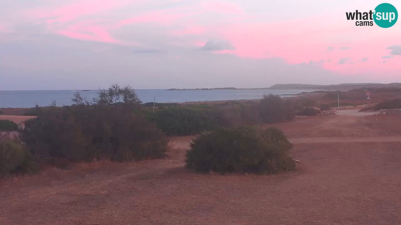 Plaža Mari Ermi | Is Arutas – Oristano