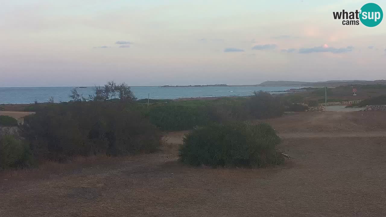 Mari Ermi Strand | Is Arutas – Oristano