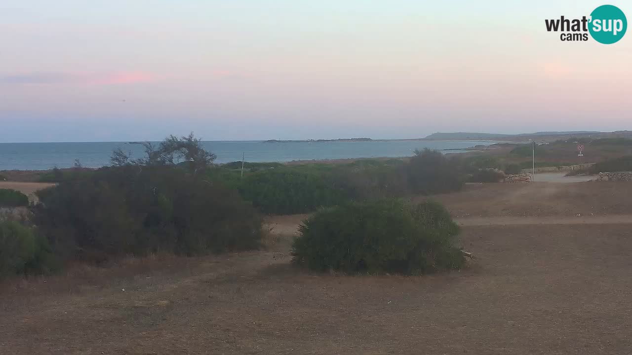 Playa Mari Ermi | Is Arutas – Oristano