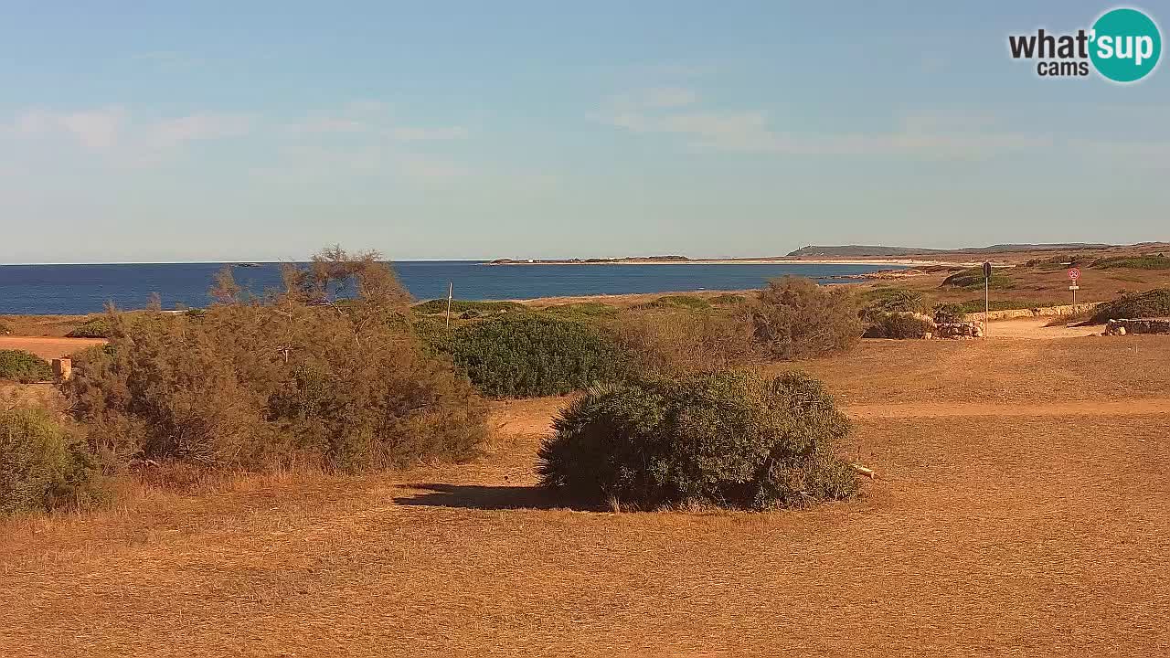 Plage Mari Ermi | Is Arutas – Oristano
