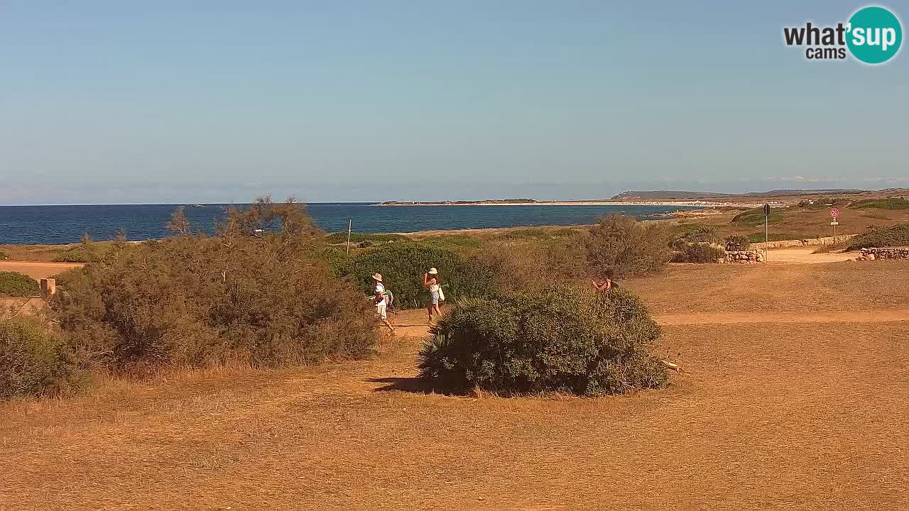 Spiaggia Mari Ermi | Is Arutas – Oristano