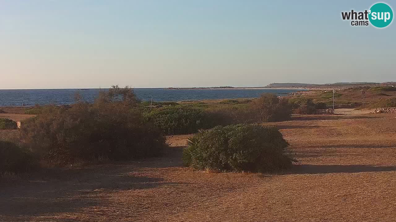 Mari Ermi Strand | Is Arutas – Oristano