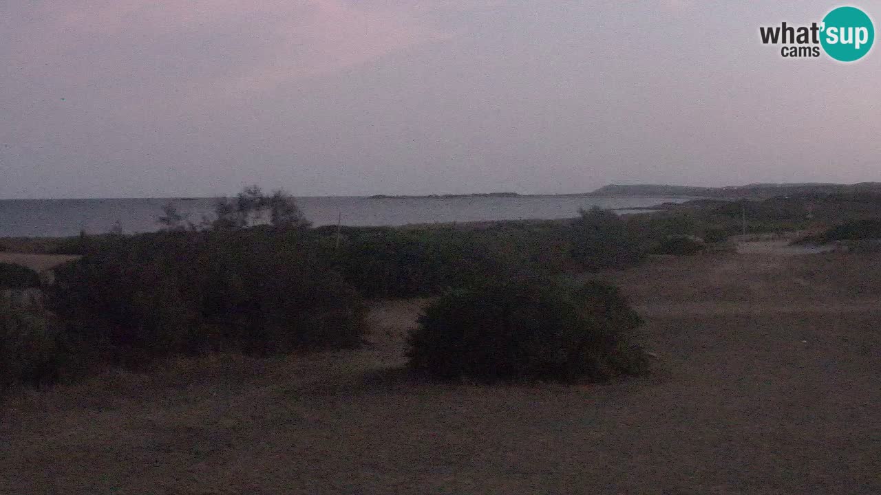 Plaža Mari Ermi | Is Arutas – Oristano
