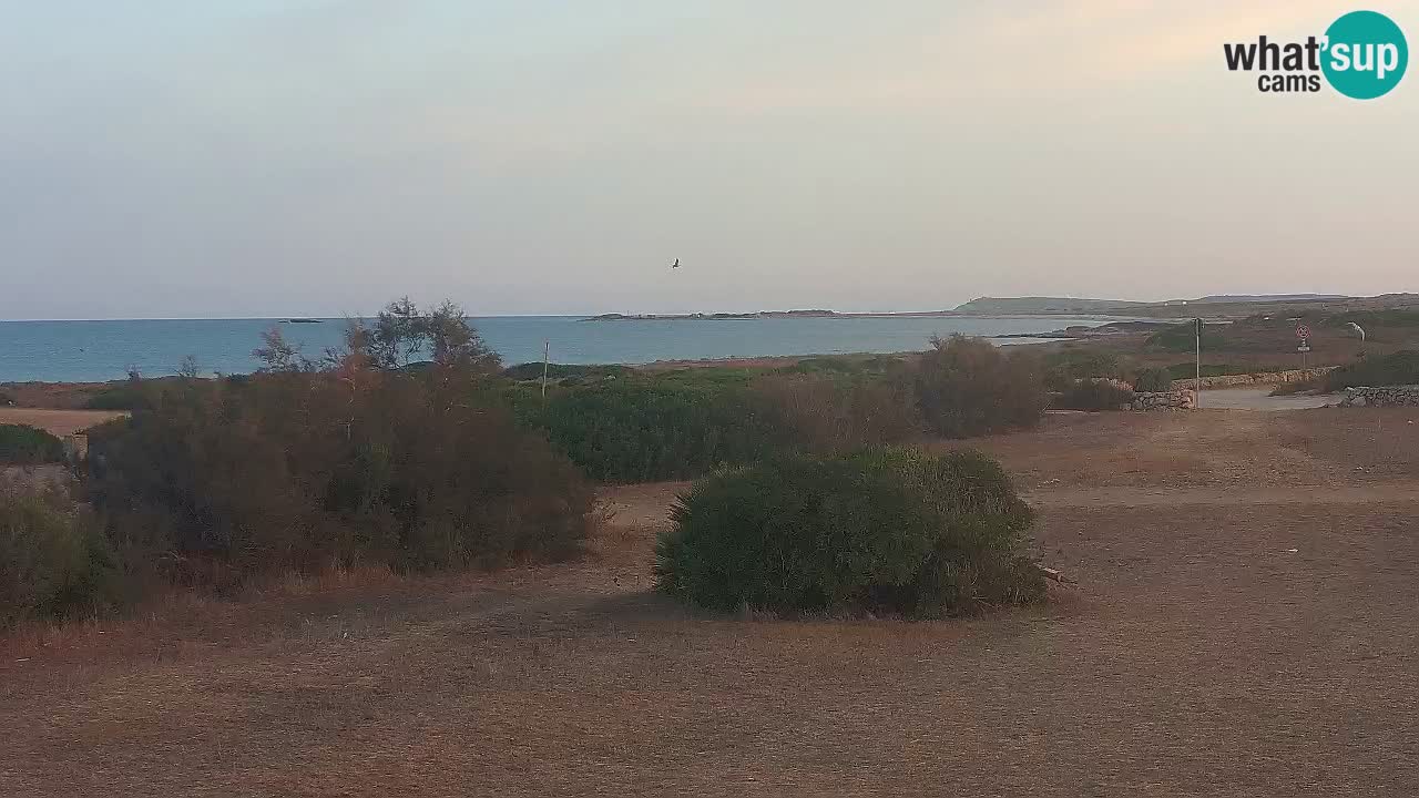 Mari Ermi Strand | Is Arutas – Oristano